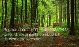 Regolamento di esecuzione (UE) 2022/2448 Regolamento di esecuzione (UE) 2022/2448