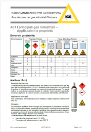 Raccomandazioni di sicurezza manipolazione bombole gas - IGS Raccomandazioni di sicurezza manipolazione bombole gas - IGS