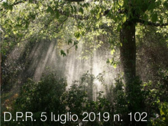 D.P.R. 5 luglio 2019 n. 102 D.P.R. 5 luglio 2019 n. 102