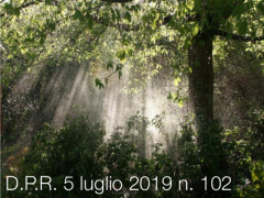 D.P.R. 5 luglio 2019 n. 102 