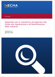 Appendice nanoforme da applicare alla Guida alla registrazione e all’identificazione delle sostanze Appendice nanoforme da applicare alla Guida alla registrazione e all’identificazione delle sostanze