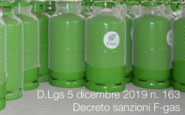 Decreto Legislativo 5 dicembre 2019 n. 163 