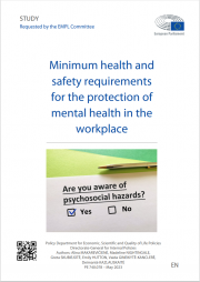 Minimum health for the protection of mental health in the workplace