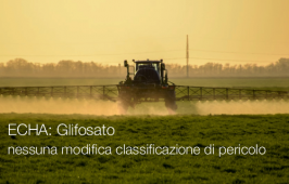 ECHA: Glifosato nessuna modifica alla classificazione di pericolo