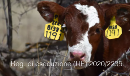 Regolamento di esecuzione (UE) 2020/2235