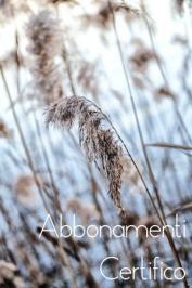 Abbonamenti Certifico 2016