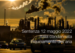 Sentenza Corte di Giustizia (VII Sezione) del 12 maggio 2022 Sentenza Corte di Giustizia (VII Sezione) del 12 maggio 2022