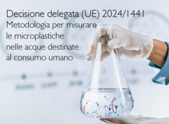 Decisione delegata (UE) 2024/1441 Decisione delegata (UE) 2024/1441