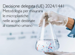 Decisione delegata (UE) 2024/1441