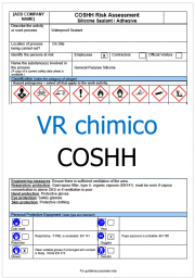 Valutazione del rischio di sostanze pericolose: esempi / report COSHH