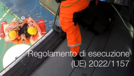 Regolamento di esecuzione (UE) 2022/1157 Regolamento di esecuzione (UE) 2022/1157