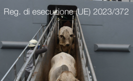 Regolamento di esecuzione (UE) 2023/372 Regolamento di esecuzione (UE) 2023/372