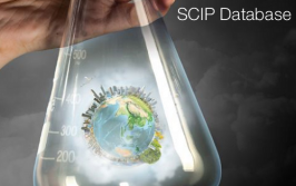 SCIP Database 