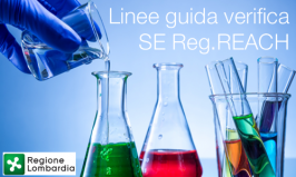 Linee guida verifica Scenari Esposizione (SE) REACH Linee guida verifica Scenari Esposizione (SE) REACH