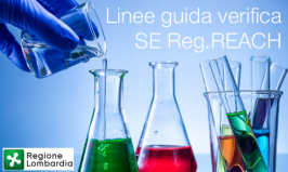 Linee guida verifica Scenari Esposizione (SE) REACH