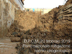 D.P.C.M. 20 febbraio 2019