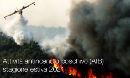 Attività antincendio boschivo (AIB) stagione estiva 2021