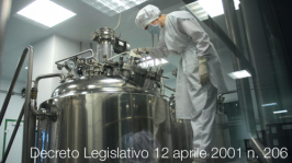 Decreto Legislativo 12 aprile 2001 n. 206