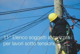 11° Elenco soggetti autorizzati per lavori sotto tensione