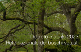 Decreto 5 aprile 2023 / Rete nazionale dei boschi vetusti