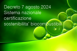 Decreto 7 agosto 2024 Decreto 7 agosto 2024
