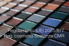Regolamento (UE) 2025/877 Regolamento (UE) 2025/877