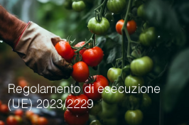 Regolamento di esecuzione (UE) 2023/2229