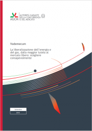 Vademecum la liberalizzazione dell’energia e del gas