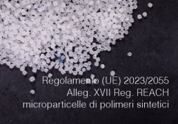 Regolamento (UE) 2023/2055 Regolamento (UE) 2023/2055