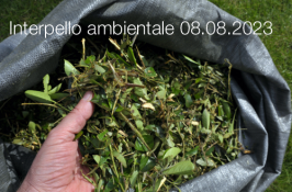 Interpello ambientale 08.08.2023 - Gestione dei residui della manutenzione del verde urbano Interpello ambientale 08.08.2023 - Gestione dei residui della manutenzione del verde urbano