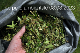 Interpello ambientale 08.08.2023 - Gestione dei residui della manutenzione del verde urbano