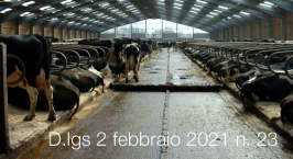 Decreto Legislativo 2 febbraio 2021 n. 23