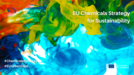 EU Chemicals Strategy for Sustainability