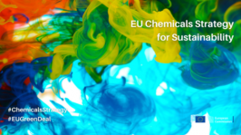 EU Chemicals Strategy for Sustainability EU Chemicals Strategy for Sustainability