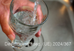 Decisione di esecuzione (UE) 2024/367 Decisione di esecuzione (UE) 2024/367