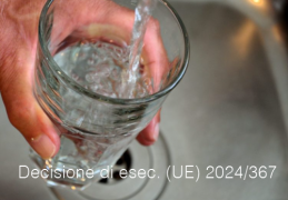 Decisione di esecuzione (UE) 2024/367 