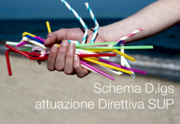 Schema D.lgs attuazione direttiva (UE) 2019/904 | Direttiva SUP