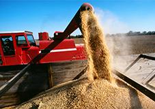 Piano Nazionale Agricoltura: pieghevoli informativi sulla sicurezza Piano Nazionale Agricoltura: pieghevoli informativi sulla sicurezza