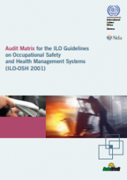Audit Matrix for the ILO Guidelines on Occupational Safety and Health Management Systems (ILO-OSH 2001) Audit Matrix for the ILO Guidelines on Occupational Safety and Health Management Systems (ILO-OSH 2001)