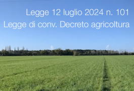 Legge 12 luglio 2024 n. 101 Legge 12 luglio 2024 n. 101