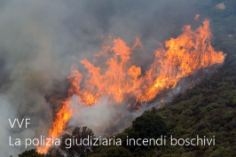 La polizia giudiziaria negli incendi boschivi VVF