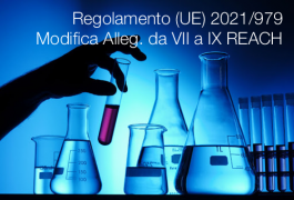 Regolamento (UE) 2021/979 Regolamento (UE) 2021/979