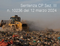 Sentenza Cassazione Penale Sez. III n. 10236 del 12 marzo 2024