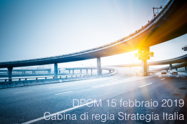 D.P.C.M. 15 febbraio 2019