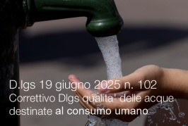 Decreto legislativo 19 giugno 2025 n. 102 Decreto legislativo 19 giugno 2025 n. 102