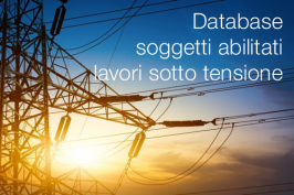 Database soggetti abilitati lavori sotto tensione