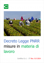 Decreto Legge PNRR 2024: le misure in materia di lavoro