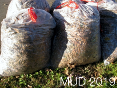 MUD 2019