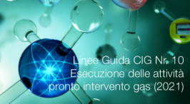 Linee Guida CIG Nr. 10 - L’esecuzione delle attività di pronto intervento gas Linee Guida CIG Nr. 10 - L’esecuzione delle attività di pronto intervento gas