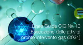 Linee Guida CIG Nr. 10 - L’esecuzione delle attività di pronto intervento gas 